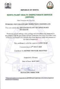 Kephis Certificate